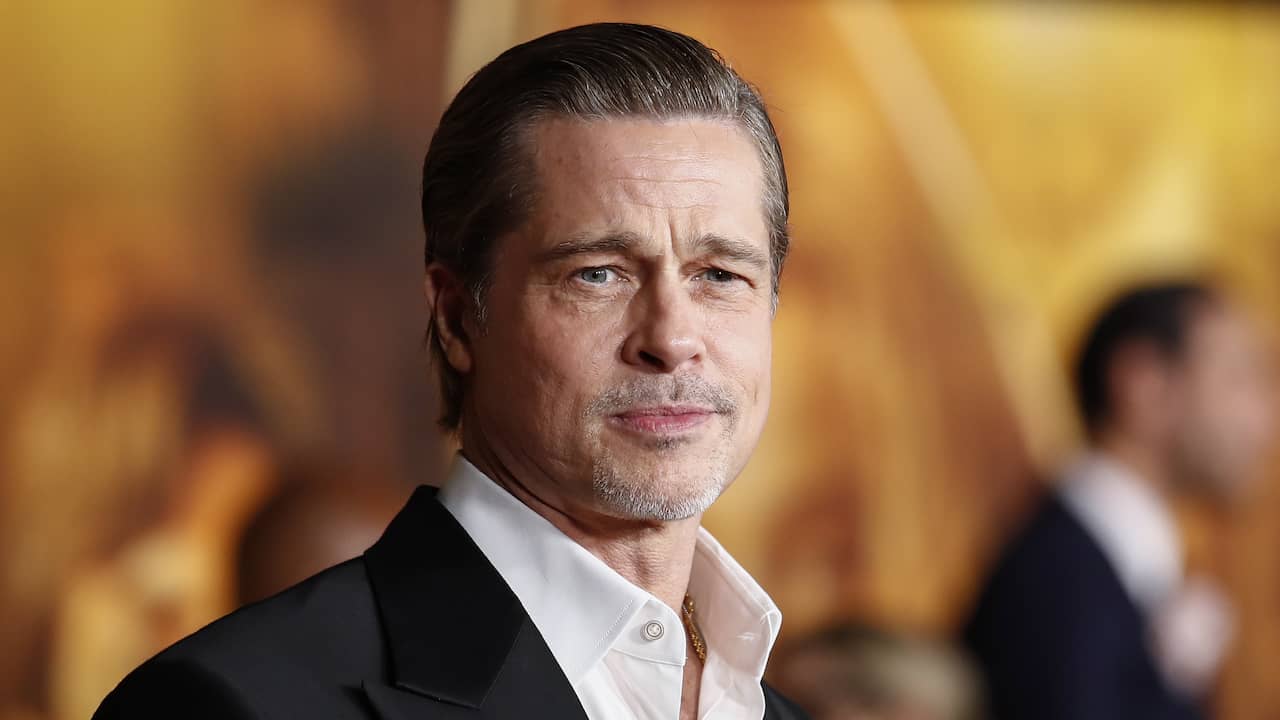 Chi è Ines De Ramon, la presunta nuova fidanzata di Brad Pitt?  |  maldicenza