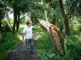 Staatsbosbeheer raadt mensen die er zondag op uittrekken af naar het bos te gaan. Na de storm van zaterdag hangen veel takken van bomen los, waardoor het gevaarlijk kan zijn.