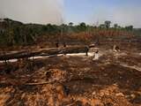 Braziliaanse president belooft einde aan illegale houtkap in Amazone voor 2030