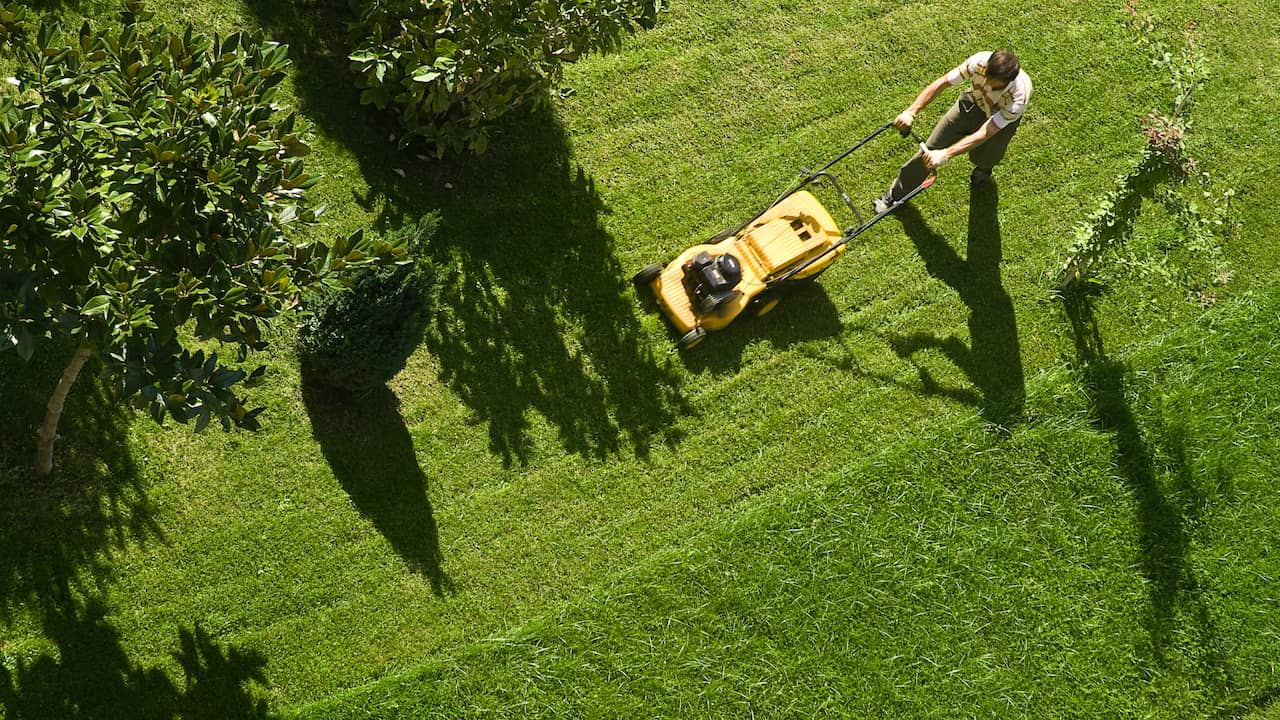 How to Keep Your Grass Green During Drought: Expert Tips and Advice