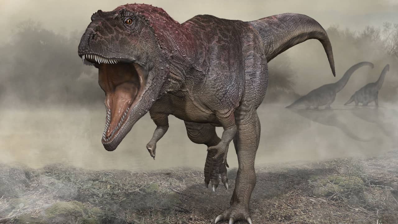 Scoperto nuovo dinosauro carnivoro con braccia corte come il T. rex |  Scienza