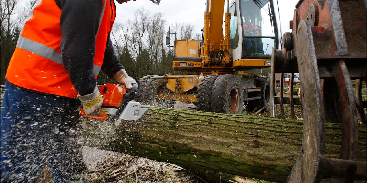 Gemeente gaat mogelijk 150 bomen kappen bij Nieuw Amelisweerd