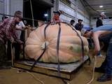 Amerikaan wint wedstrijd met pompoen van bijna 1.000 kilo