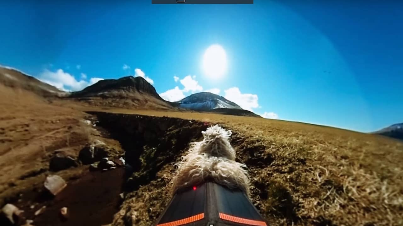 Beeld uit video: Vrouw zet schapen in om Faröer-eilanden vast te leggen voor Google Street View