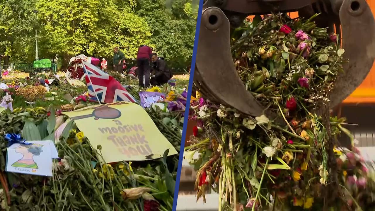 Beeld uit video: Bloemenzee voor koningin Elizabeth wordt 'omgetoverd' tot compost