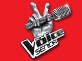 RTL zet ook The Voice Senior en The Voice Kids voor onbepaalde tijd stop