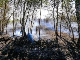 Natuurbrand in Deurnese Peel is één van de grootste ooit in Nederland