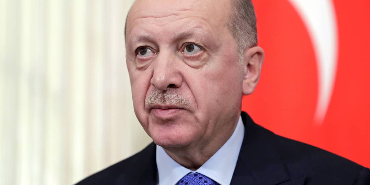 Erdogan adviseert Turken spaargeld in lira's aan te houden