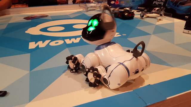 Robothond Chip