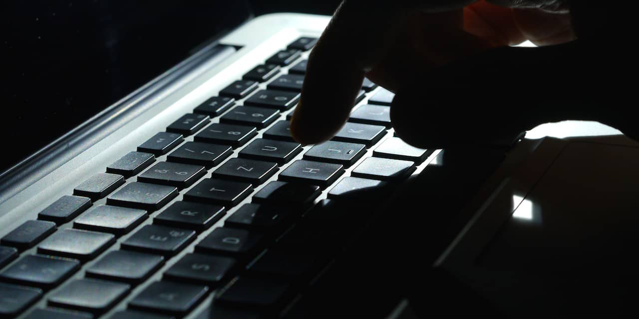 Politiesite laat mensen database gestolen data doorzoeken