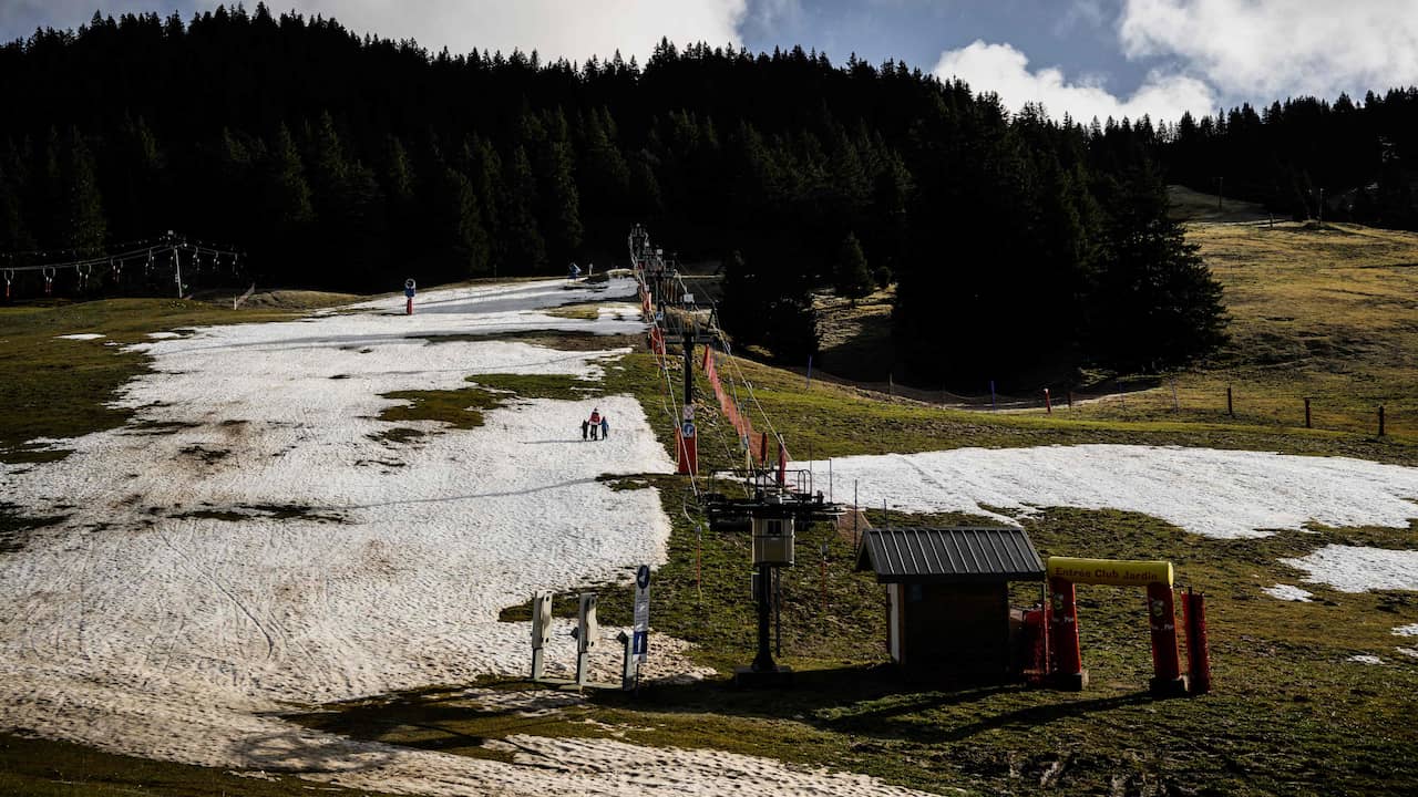 Bad luck for winter sports enthusiasts: green meadows instead of white slopes in the Alps |  Abroad