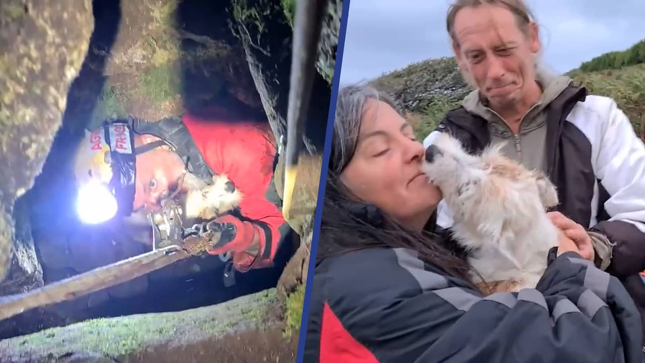 Beeld uit video: Hond Suka na ruim 26 uur gered uit mijnschacht in Engeland