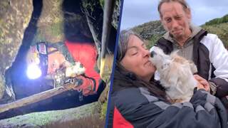 Hond Suka na ruim 26 uur gered uit mijnschacht in Engeland