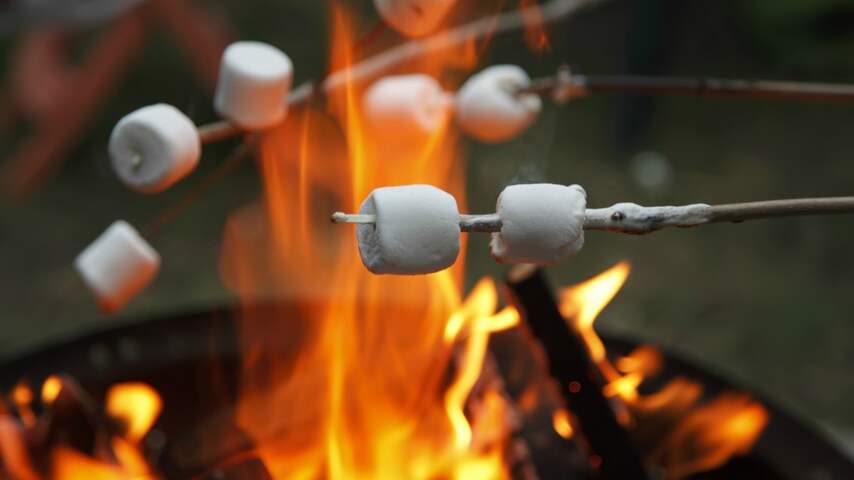 marsmallows