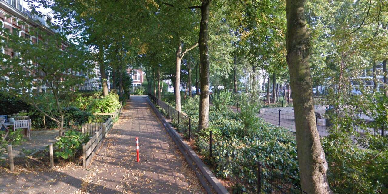 Politie Haarlem zoekt man op verdenking van diefstal aan Leidseplein