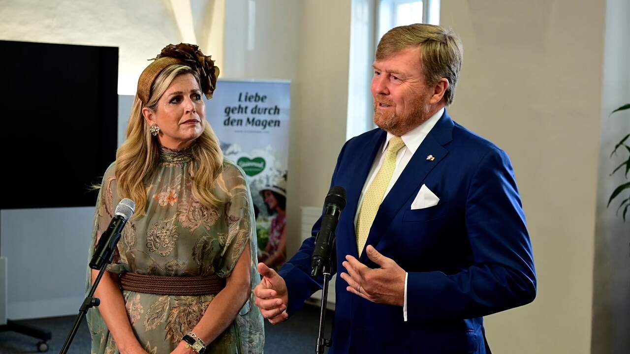 Beeld uit video: Koning over protesten: 'Geweld en intimidatie geen oplossing'