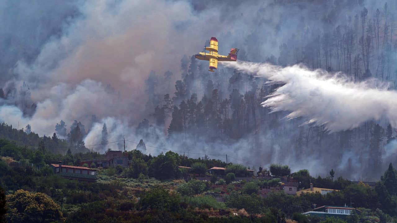 Un aereo antincendio su un incendio boschivo a Tenerife, in Spagna