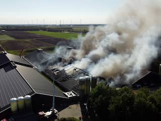 Grote brand in schuur met honderden varkens op boerderij in Groningse Mussel