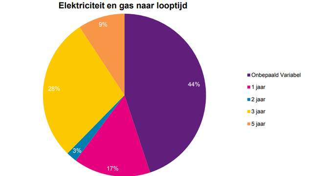 Eén op de drie huishoudens heeft vorig jaar het contract voor twee, drie of vijf jaar vastgezet. Bijna de helft van de huishoudens heeft een variabel tarief.