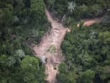 Satellietbeelden tonen forse versnelling van ontbossing in Amazonegebied