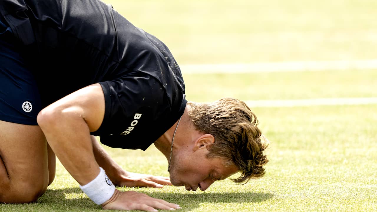 Van Rijthoven fa anche acrobazie contro Medvedev e vince il torneo ATP Rosmalen |  ADESSO