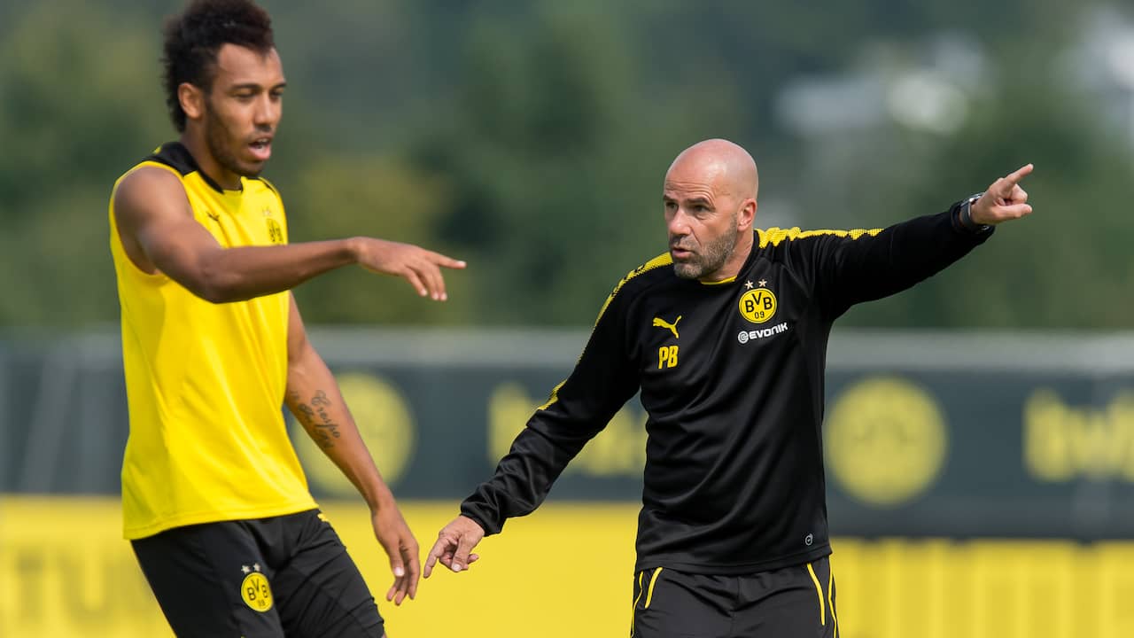 Image result for aubameyang bosz