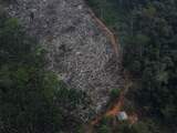 Bolsonaro: Satellietbeelden die ontbossing Amazonegebied tonen 'liegen'