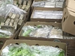 800 kilo cocaïne gevonden in lading bananen in Vlissingen