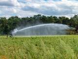 Boeren vrezen voor hitte: 'Dit kan de nekslag zijn voor veel gewassen'