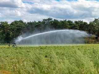 Boeren vrezen voor hitte: 'Dit kan de nekslag zijn voor veel gewassen'