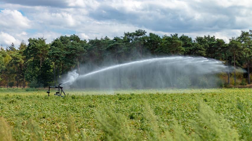 Boeren vrezen voor hitte: 'Dit kan de nekslag zijn voor veel gewassen'