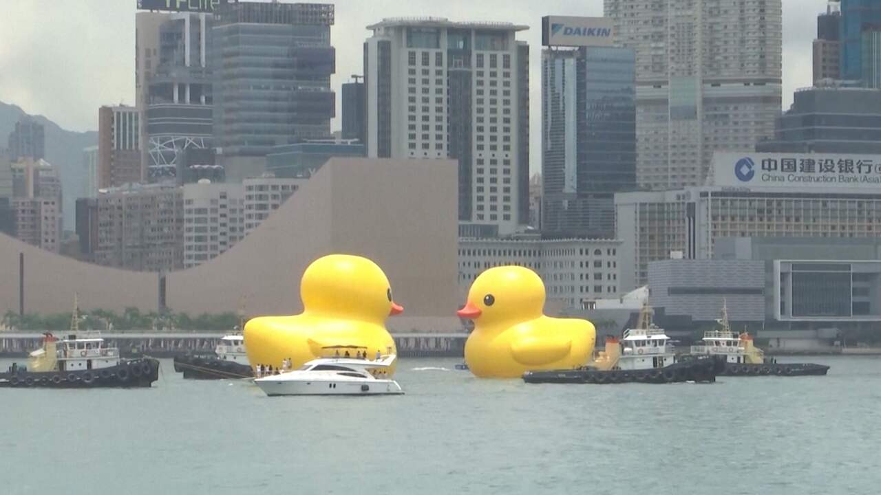 Beeld uit video: Gigantische 'Nederlandse' rubberen eenden verblijden inwoners Hongkong