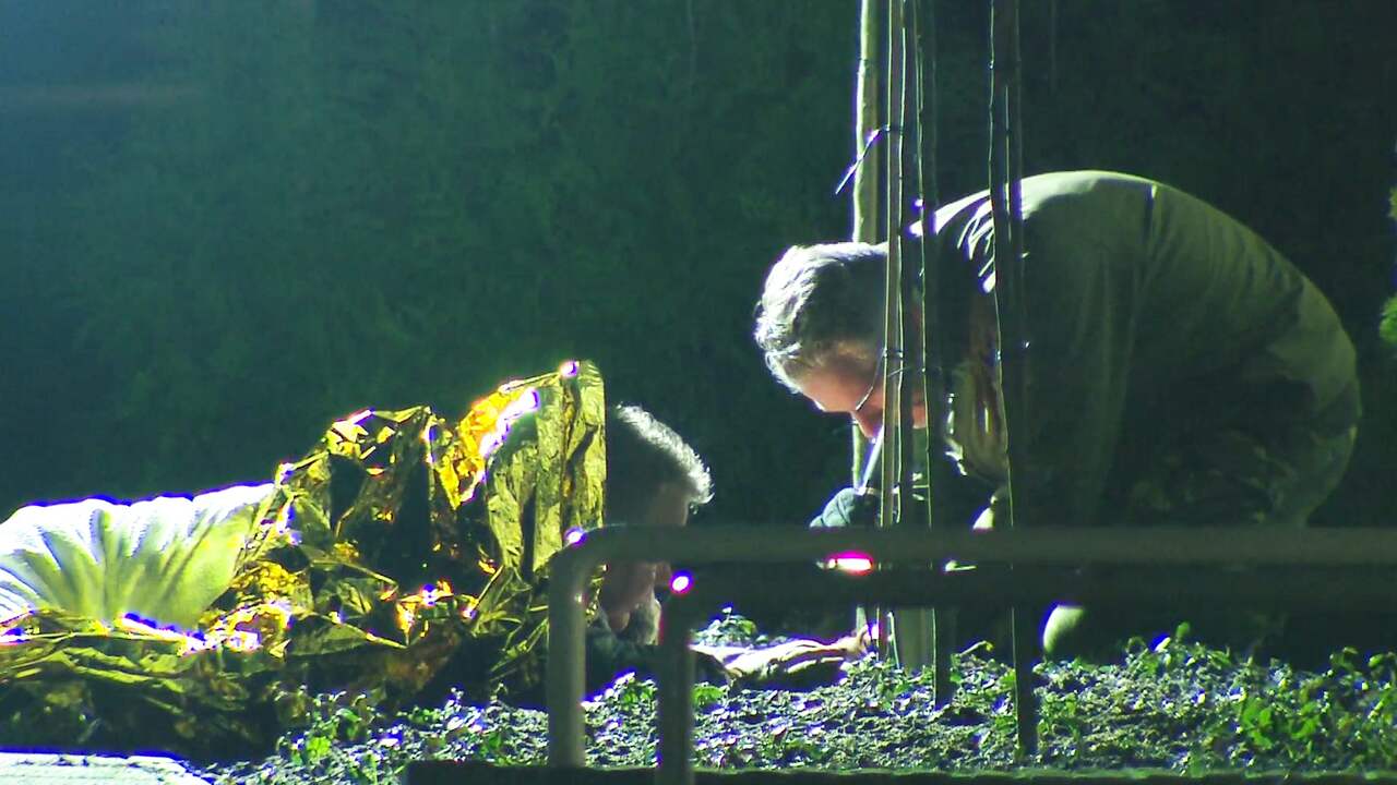 Man in Venlo ligt 2,5 uur op 'sissende' granaat