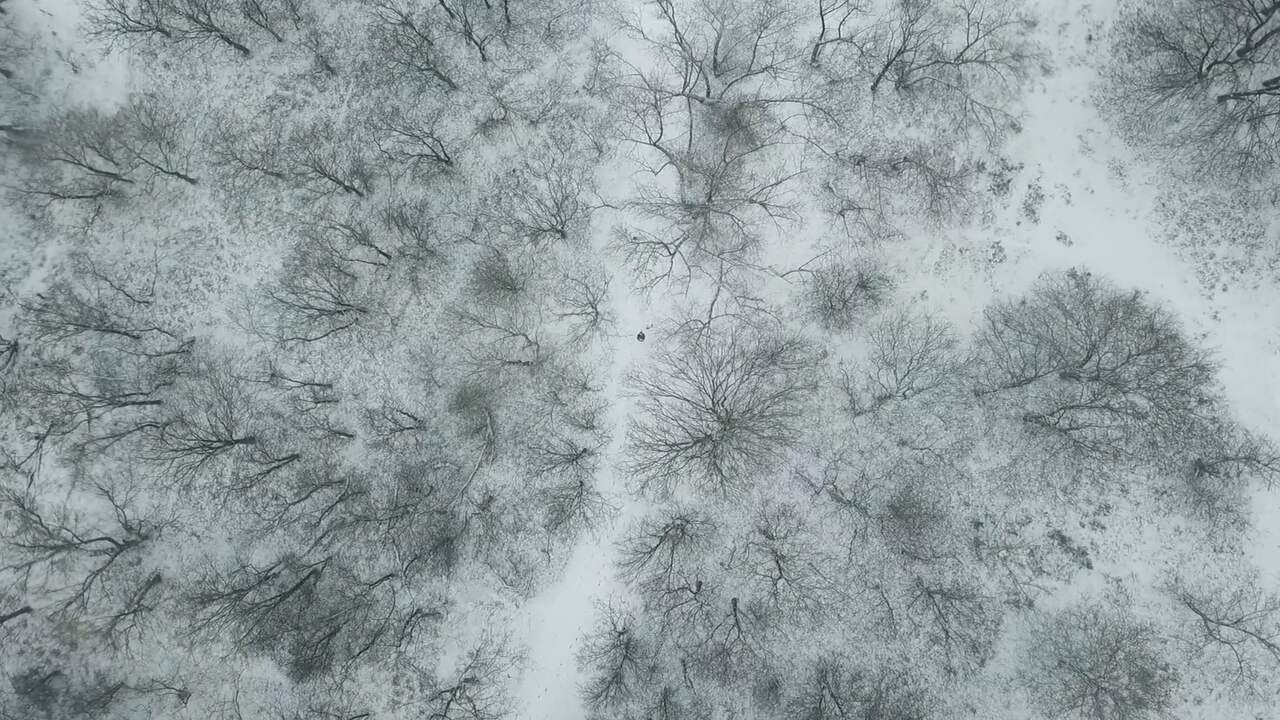 Beeld uit video: Dronebeelden tonen hoe Nederland wit kleurt door sneeuw