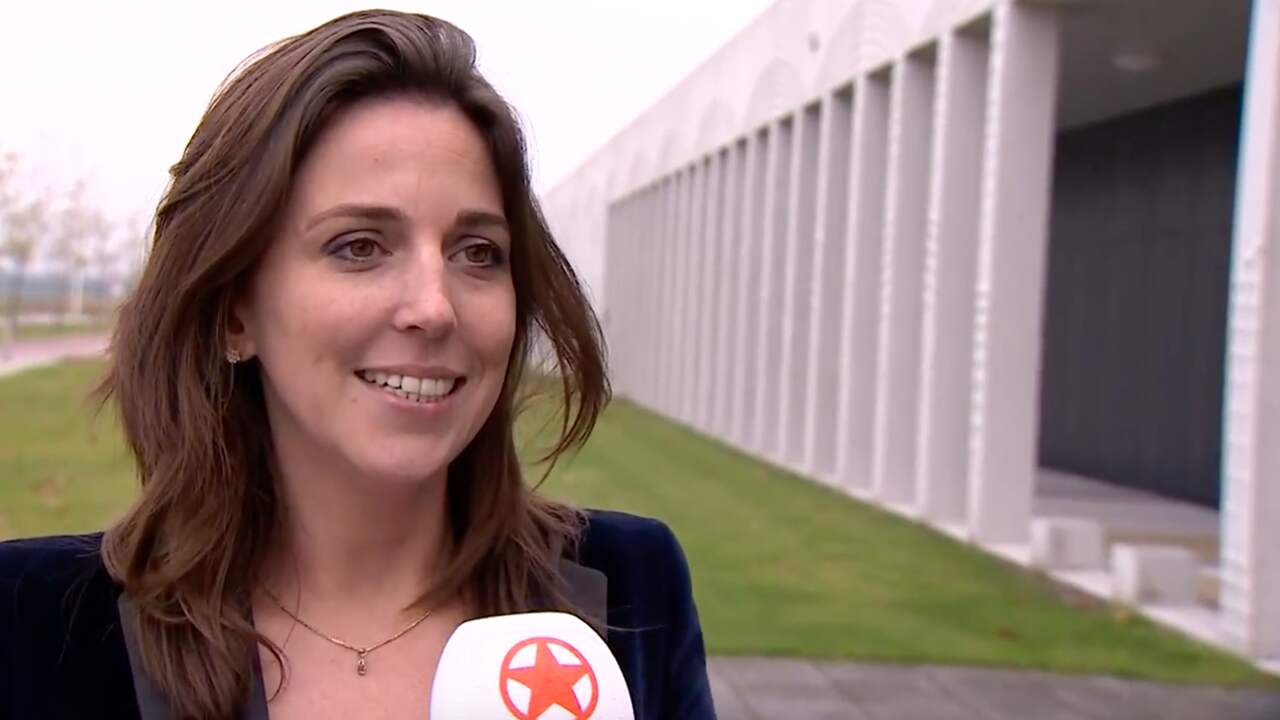 Advocaat adviseerde Dave Roelvink niet bij rechtszaak te zijn