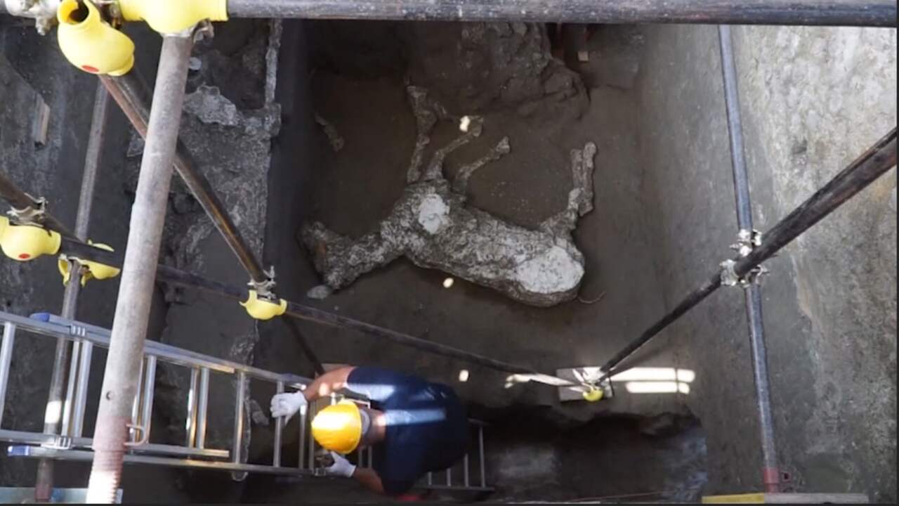 Beeld uit video: Onderzoekers vinden compleet paardenskelet in Pompeï