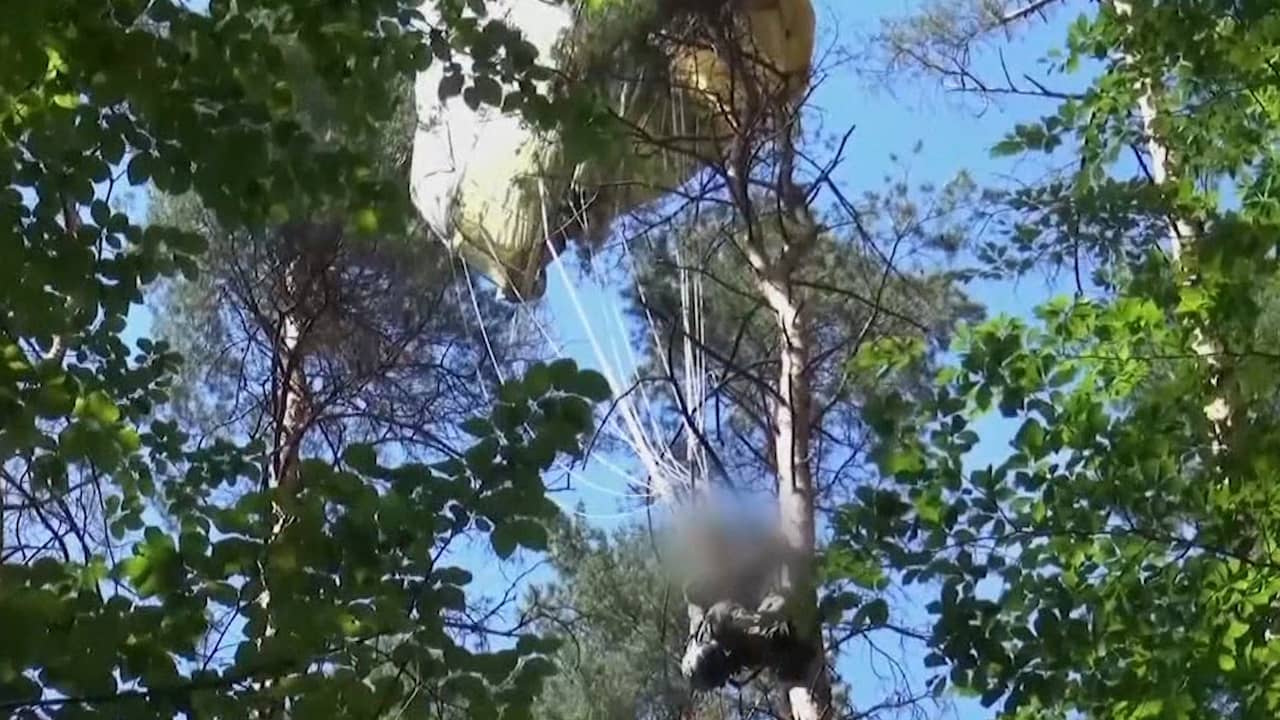 Beeld uit video: Duitse brandweer haalt gesprongen piloot uit boom na botsing