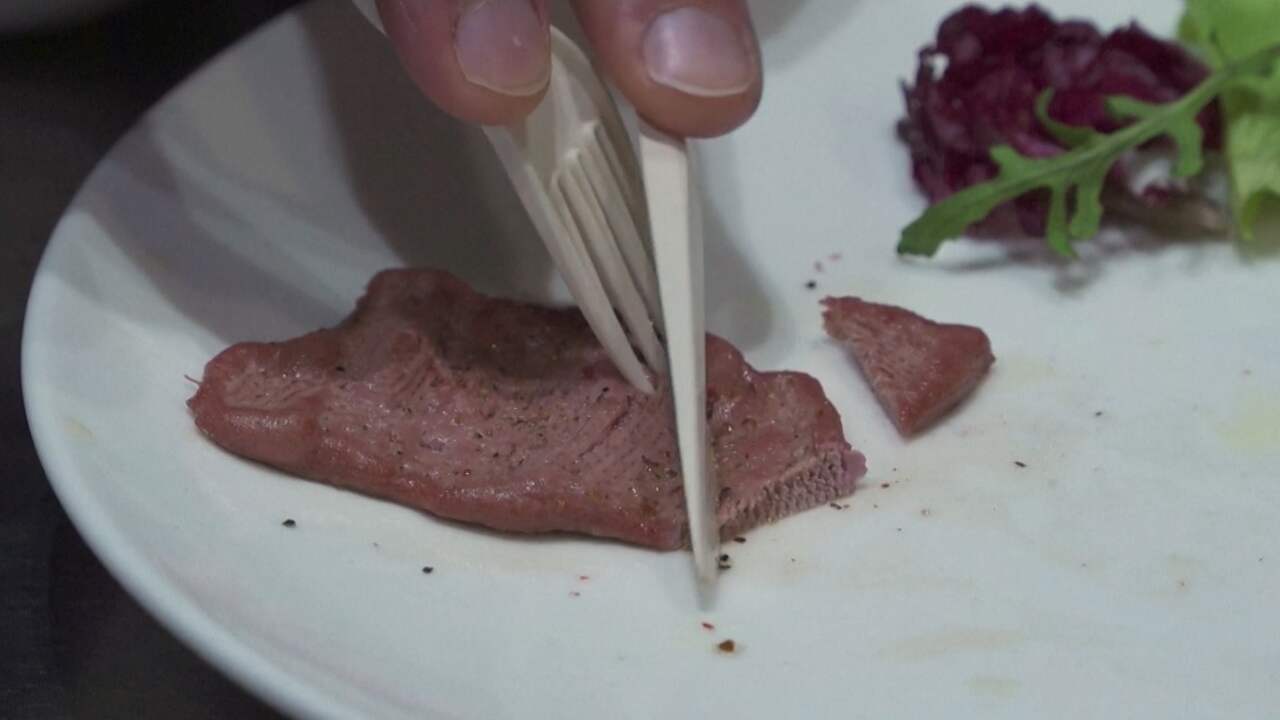 Beeld uit video: '3D-geprinte steak bootst textuur van echt vlees na'