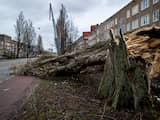 Rust teruggekeerd na storm Eunice in Groningen, schade op veel plekken