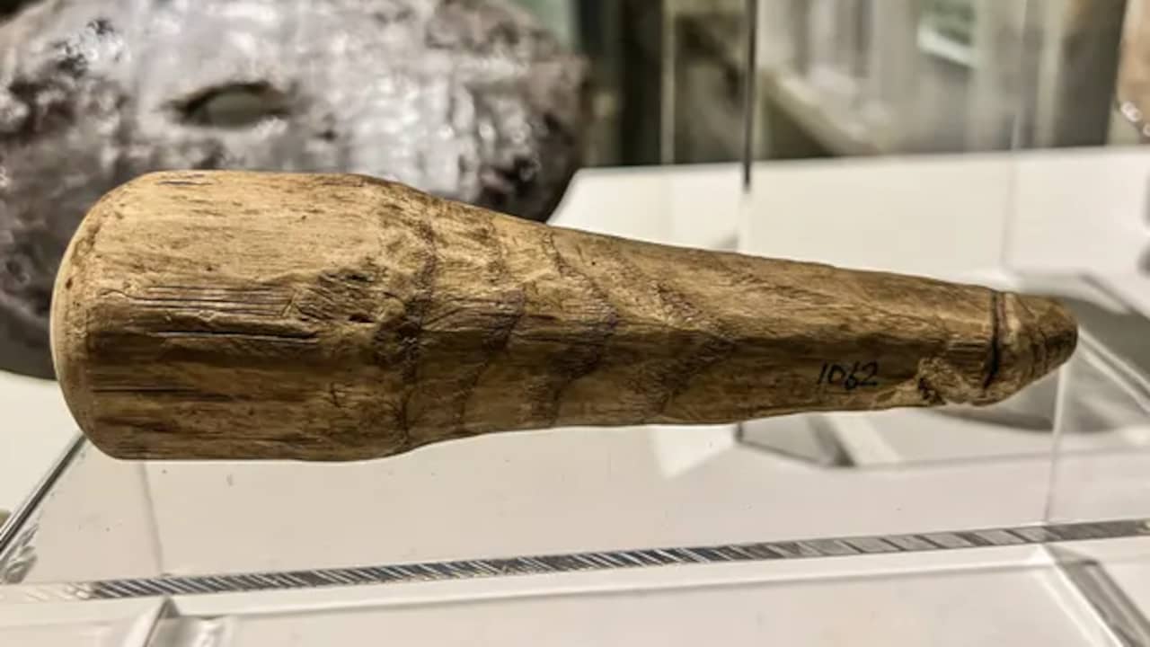 Roman tool actually turns out to be a two-thousand-year-old dildo |  Remarkable