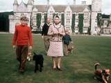 Honden van overleden koningin Elizabeth gaan naar prins Andrew