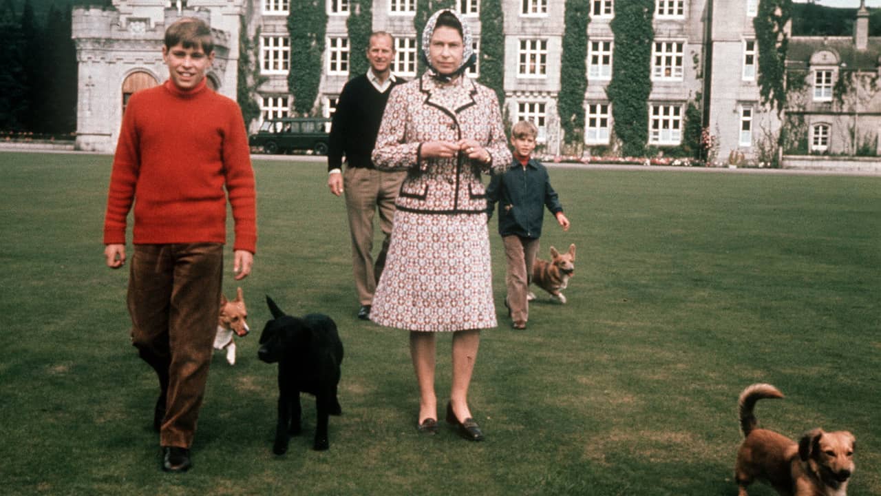 The dogs of the late Queen Elizabeth go to Prince Andrew |  Royal family