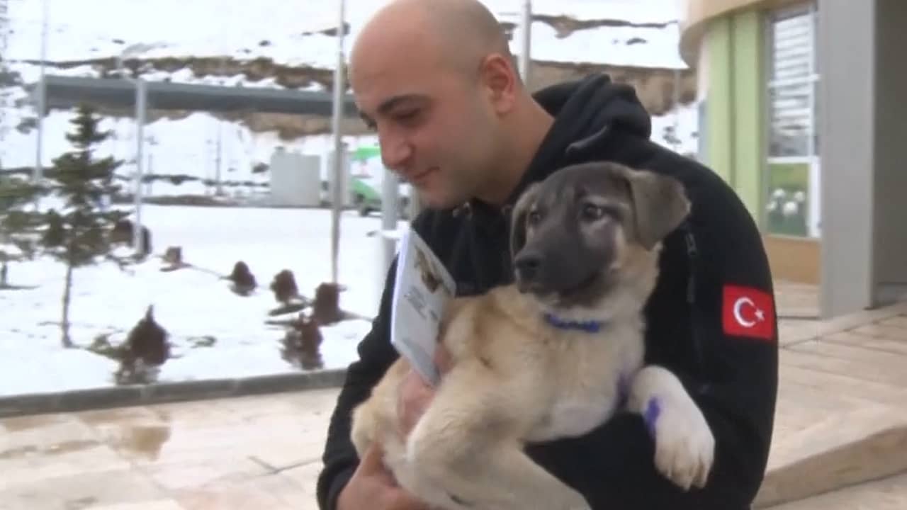 Beeld uit video: Turkse agent adopteert puppy na redding van ijs