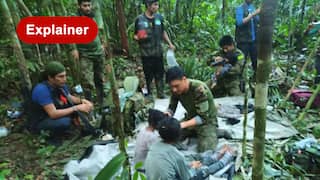 Hoe overleefden vier kinderen de jungle? Nieuwe details zeggen dit