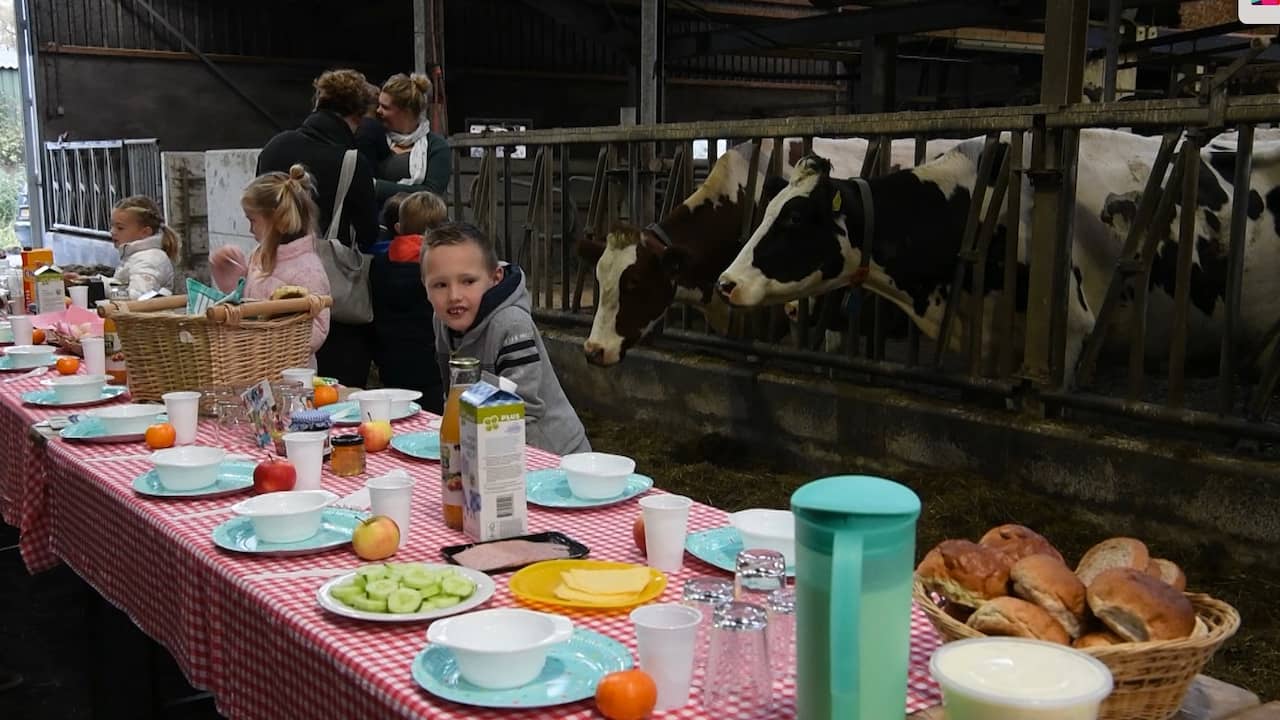 Beeld uit video: Kinderen ontbijten tussen koeien in Krimpenerwaard