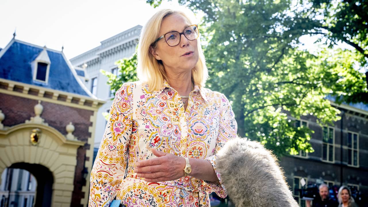 Sigrid Kaag Steps Down as Party Leader for D66 in Upcoming Elections