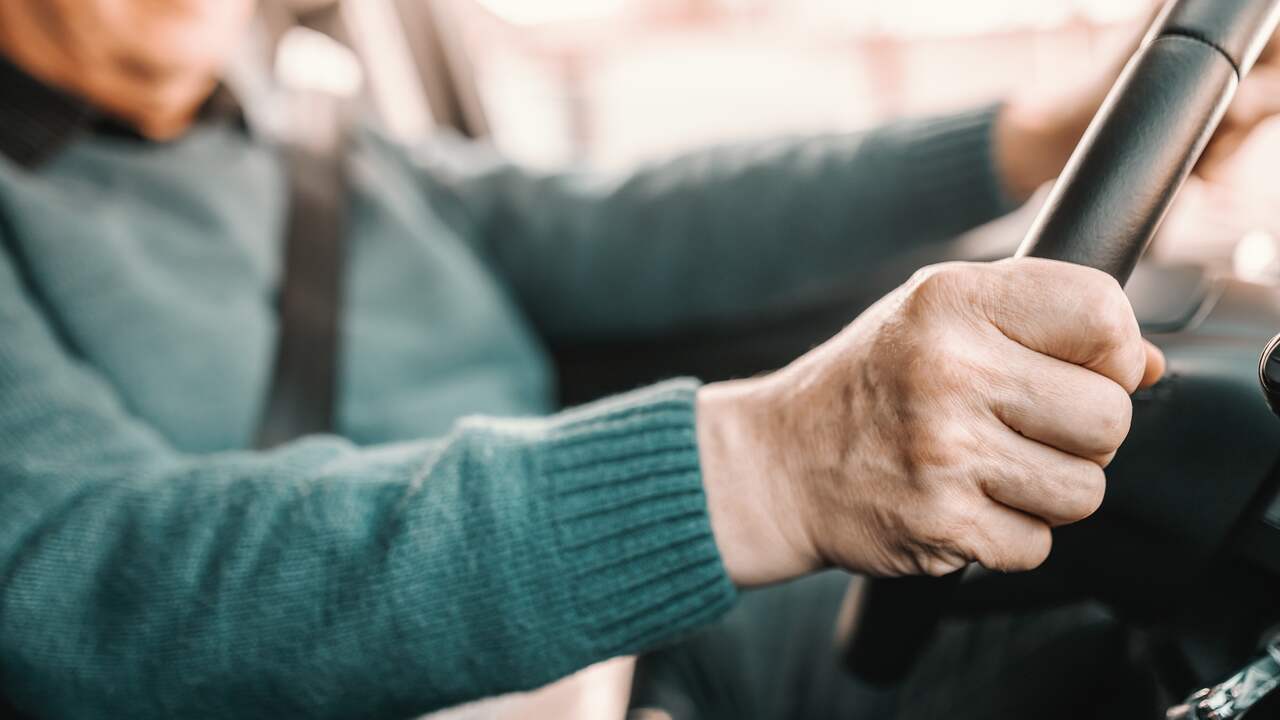 Sempre più anziani hanno la patente |  Economia
