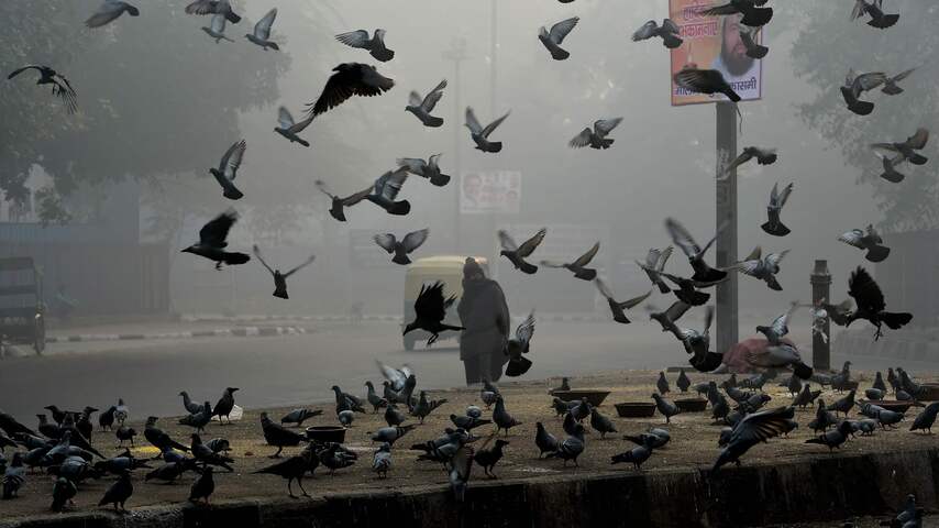 Smog door vuuwerk bij Diwali in New Delhi