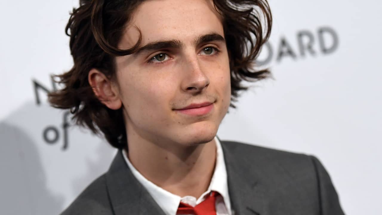 Acteur Timothée Chalamet doneert salaris uit Woody Allen-film | Films &  Series | NU.nl