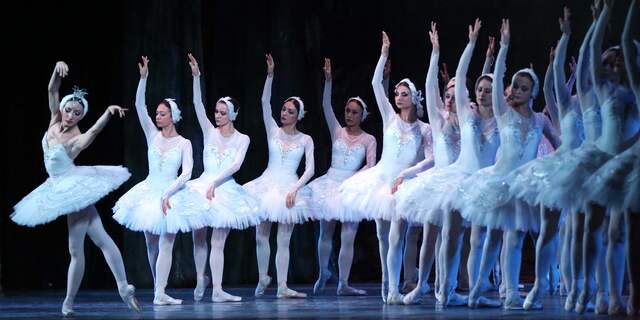 Russisch Ballet, Zwanenmeer